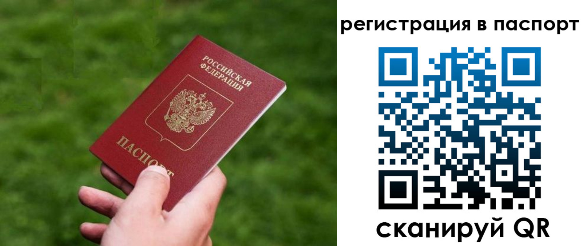 пропишу в квартире в Славгороде